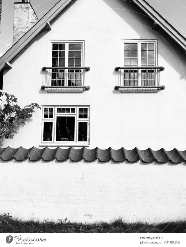 sicher ist sicher. Häusliches Leben Wohnung Haus Gras Einfamilienhaus Bauwerk Gebäude Architektur Mauer Wand Fassade Balkon Schornstein außergewöhnlich Angst