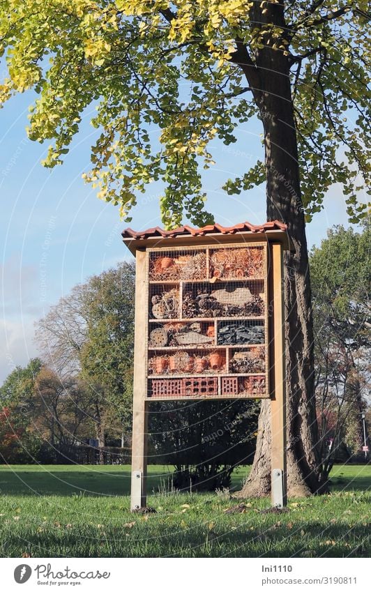 Insektenhotel Landschaft Pflanze Tier Himmel Herbst Schönes Wetter Baum Park Wildtier Fliege Biene Schmetterling Käfer Stein Holz blau braun mehrfarbig gelb