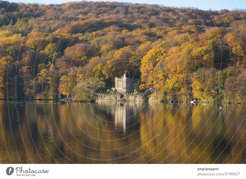 Indian Summer Ferien & Urlaub & Reisen Tourismus Häusliches Leben Natur Landschaft Pflanze Herbst Schönes Wetter Baum Wald Hügel Wellen Küste Seeufer Dortmund