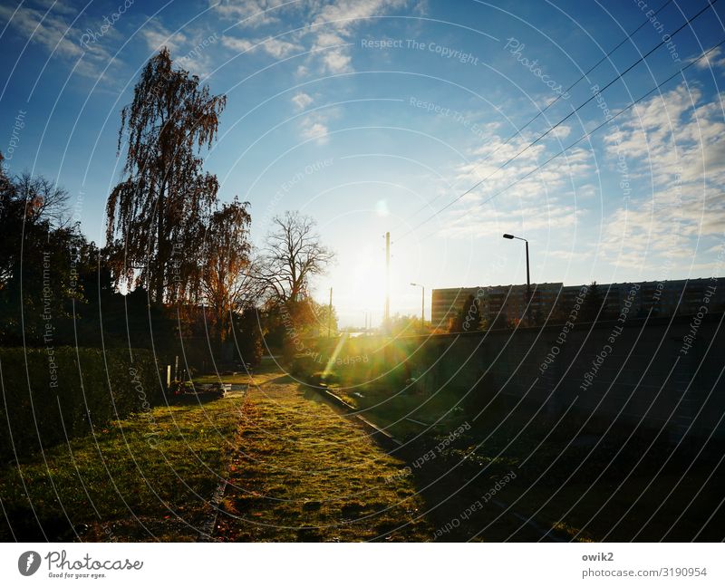 St. Marien Umwelt Pflanze Himmel Wolken Horizont Sonne Herbst Schönes Wetter Baum Gras Friedhof Bautzen Gebäude Mauer Wand Straßenbeleuchtung Laternenpfahl