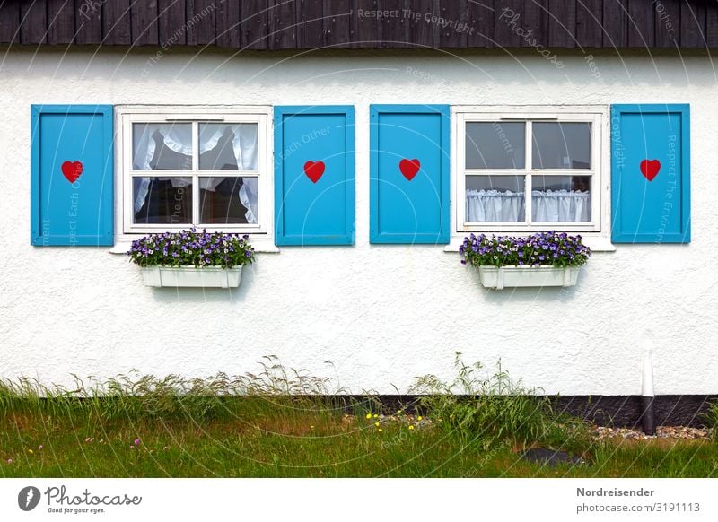 Idylle oder Kitsch? Ferien & Urlaub & Reisen Tourismus Häusliches Leben Wohnung Garten Dekoration & Verzierung Blume Gras Wiese Haus Einfamilienhaus Architektur