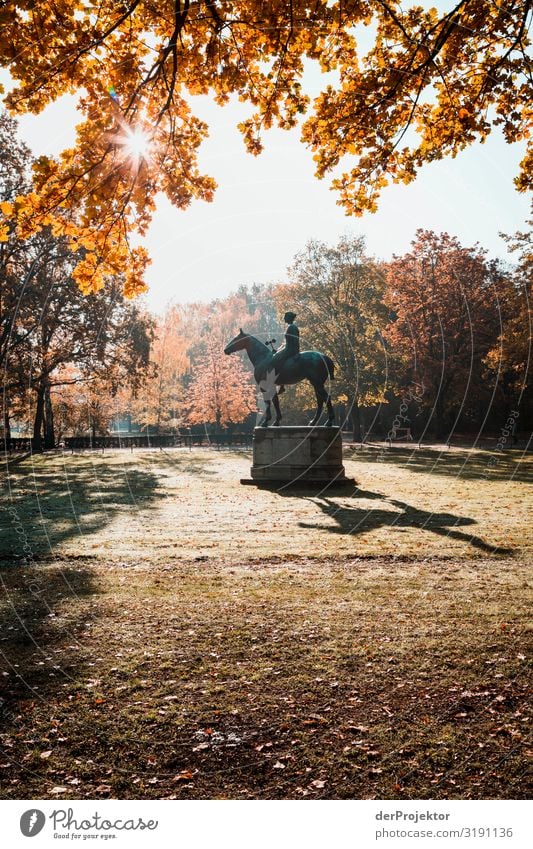 Im Tiergarten: Und sie reitet in den Sonnenaufgang Ferien & Urlaub & Reisen Tourismus Ausflug Ferne Freiheit Sightseeing Städtereise Umwelt Herbst