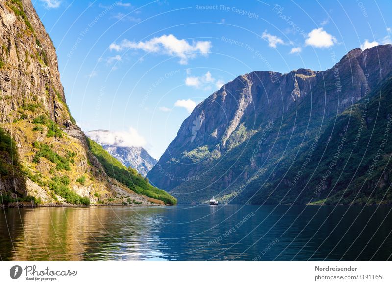 Aurlandsfjord Ferien & Urlaub & Reisen Tourismus Ausflug Ferne Kreuzfahrt Sommer Sommerurlaub Meer Natur Landschaft Urelemente Wasser Himmel Wolken