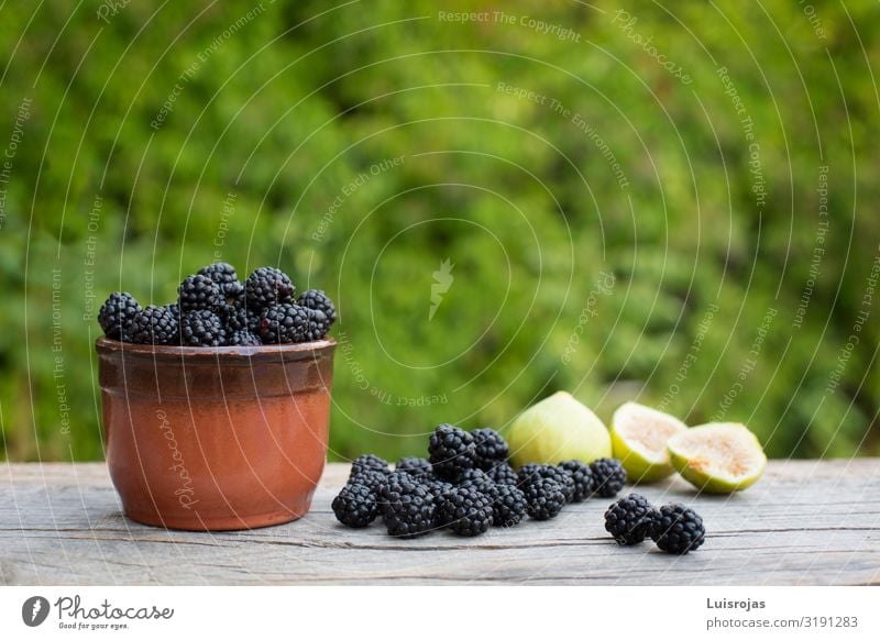 Stilleben mit Brombeeren und Feigen auf grünem Hintergrund Lebensmittel Frucht Dessert Frühstück Bioprodukte Vegetarische Ernährung Schalen & Schüsseln Natur