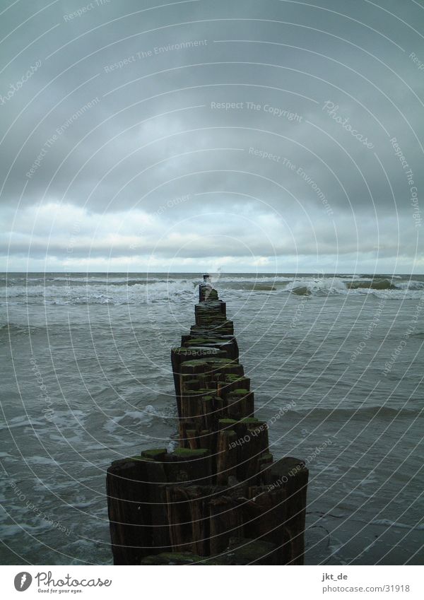 Fischland im Winter Ahrenshoop Horizont Wolken Ostsee Bunen Himmel