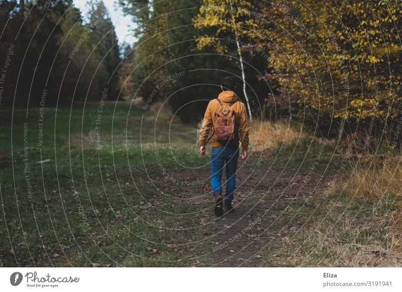 Ein Mann alleine auf einem herbstlichen Spaziergang durch den Wald spazieren Ausflug Natur Herbst Bäume Rucksack wandern Mensch frische Luft naturverbunden