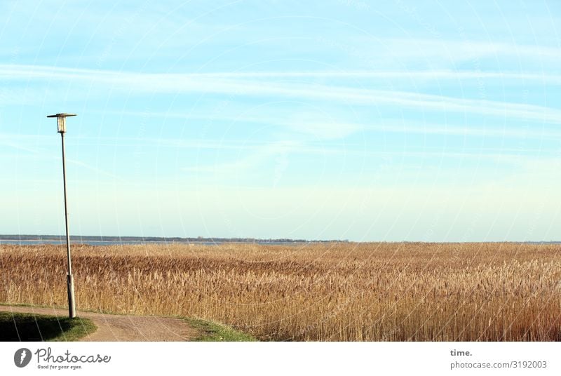 Heimatfilm (III) Lebensmittel Getreide Energiewirtschaft Laterne Straßenbeleuchtung Umwelt Natur Landschaft Himmel Horizont Schönes Wetter Pflanze Nutzpflanze