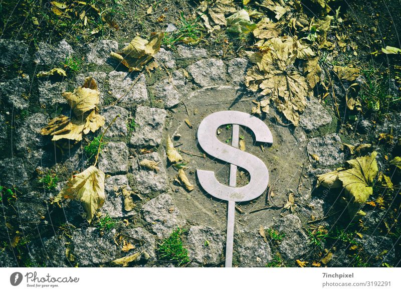 Zeit für den Süden Herbst Moos Blatt Park Kompass Ziffern & Zahlen Buchstaben grau grün weiß Wege & Pfade welk Pflastersteine Farbfoto Gedeckte Farben