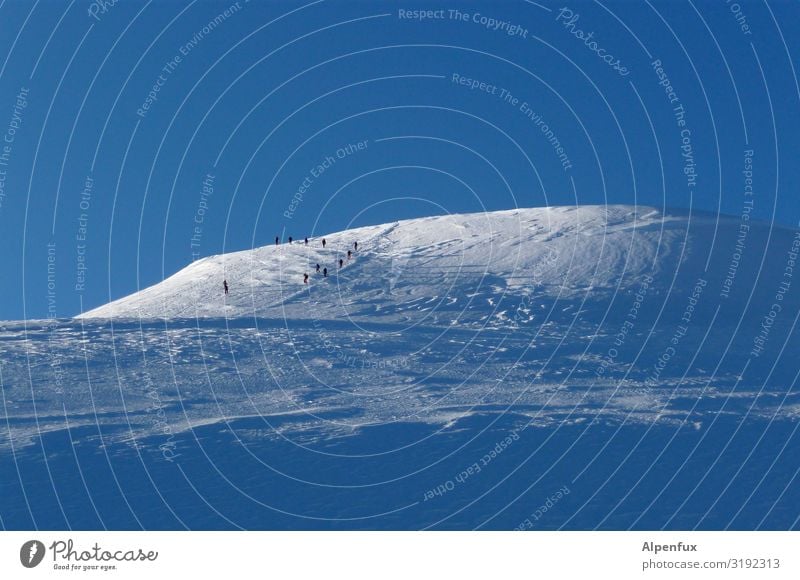 Eiszeit | Gletscher Menschengruppe Umwelt Urelemente Klima Klimawandel Schönes Wetter Frost Alpen Berge u. Gebirge Monte Rosa Gipfel Schneebedeckte Gipfel gehen