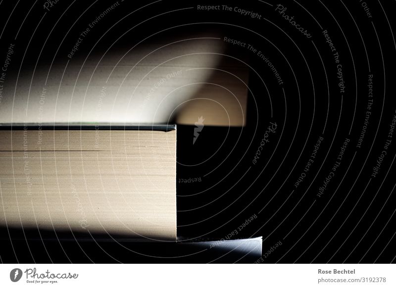 Bücherstapel Lifestyle Freizeit & Hobby Medien Printmedien Buch lesen lernen Wärme braun schwarz Stapel Farbfoto Gedeckte Farben Innenaufnahme Menschenleer