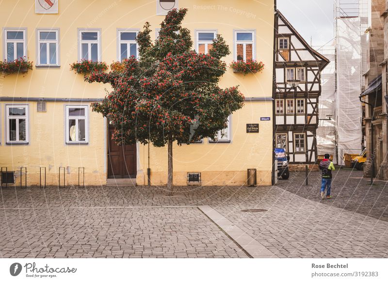 Schmalkalden Altmarkt Umwelt Herbst Baum Deutschland Thüringen Universitätsstadt Hochschulstadt Fachwerkfassade Europa Stadt Altstadt braun gelb grün Baustelle