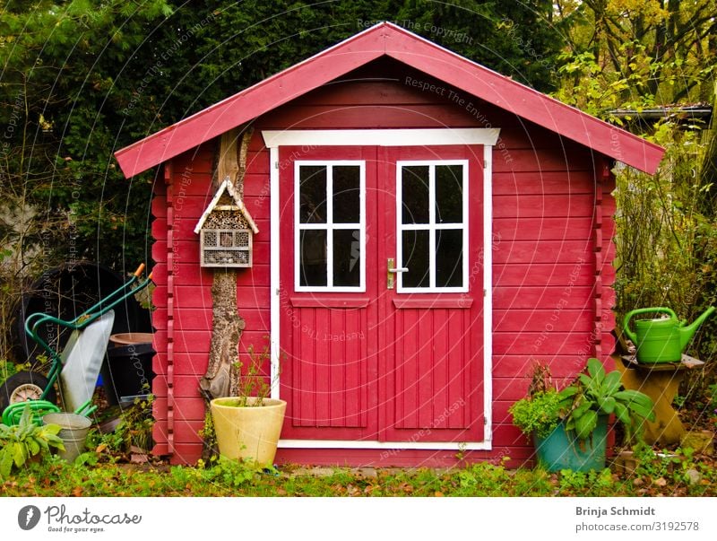 Ein leuchtend rotes Gartenhäuschen Gesundheit gärtnern Häusliches Leben Natur Herbst Pflanze Baum Blume Hütte Dekoration & Verzierung Gartengeräte Schubkarre