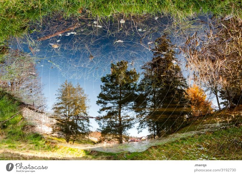 Landunter Umwelt Natur Pflanze Wolkenloser Himmel Sommer Herbst Klimawandel Schönes Wetter Baum Wiese Stimmung Perspektive Überschwemmung Wasser Pfütze Farbfoto