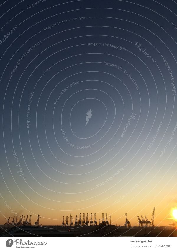 Hashtag sunset Himmel Wolkenloser Himmel Herbst Hamburg Hamburger Hafen bevölkert Industrieanlage Wahrzeichen Containerschiff Ferne maritim blau orange ruhig