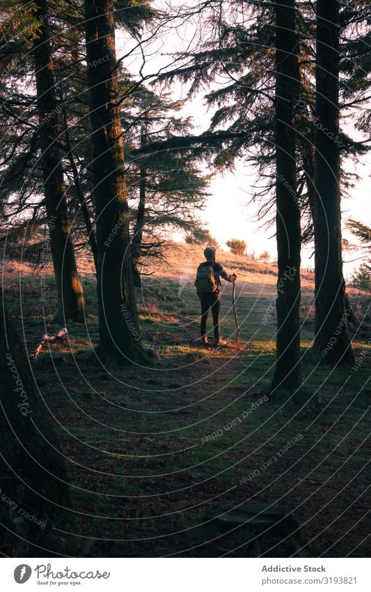 Anonymer Reisender am Waldrand Börde bewundernd Aussicht Natur Personal Mann Baum stehen Lifestyle Fernweh Ausflug wandern Trekking Tourismus Freiheit