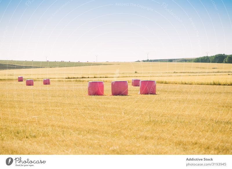 Ballen mit rosa Kunststoff umwickelt Landwirtschaft Strohballen Frauenbrust Krebs umhüllen Müsli Landschaft Bauernhof Feld Gold Getreide Ernte Heu Heugarben