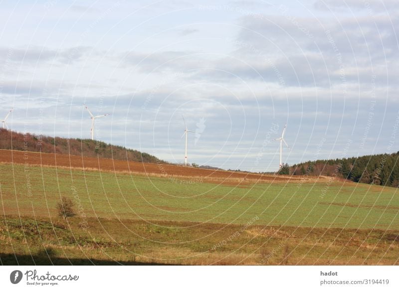 Felder und Wälder Getreide Berge u. Gebirge Landwirtschaft Forstwirtschaft Natur Landschaft Baum Wiese blau Großgrundbesitz Wald Ähren Getreidefeld Weizen