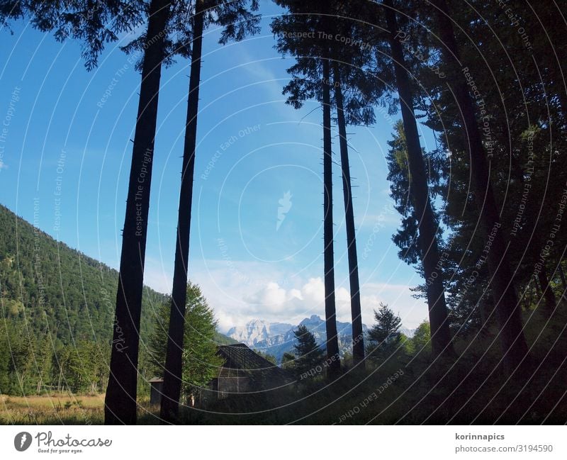 im Tal Ferien & Urlaub & Reisen Tourismus Berge u. Gebirge wandern Umwelt Natur Landschaft Himmel Baum Wald Alpen Erholung frei blau Lebensfreude Kraft