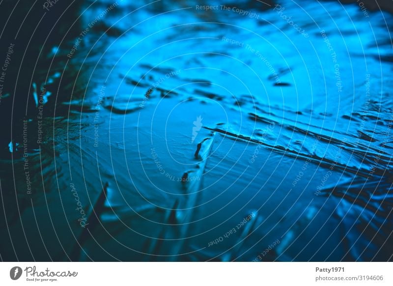 Blaues Eis Umwelt Natur Wasser Frost Eisfläche kalt blau bizarr Surrealismus Farbfoto Außenaufnahme Nahaufnahme Detailaufnahme Makroaufnahme abstrakt Muster