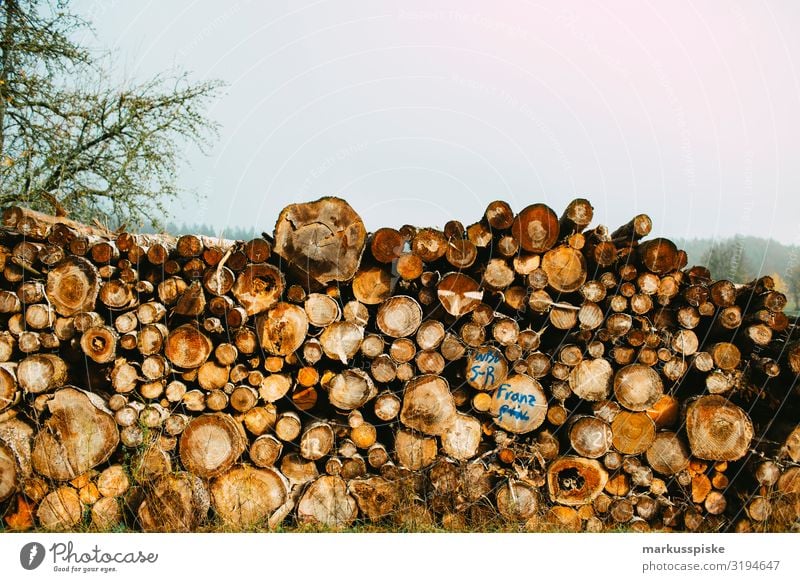 Brennholz Forstwirtschaft Freizeit & Hobby Garten Natur Landschaft Herbst Pflanze Baum Nutzpflanze Holz Forstwald Rohstoffe & Kraftstoffe Wald Ernte Farbfoto