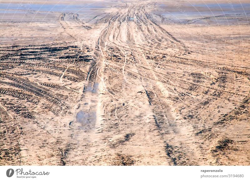 One way or another Umwelt Sand Klima Strand Wüste Menschenleer fahren braun Irritation Wege & Pfade Zerstörung folgen wühlen Spuren Fahrbahn Reifenprofil