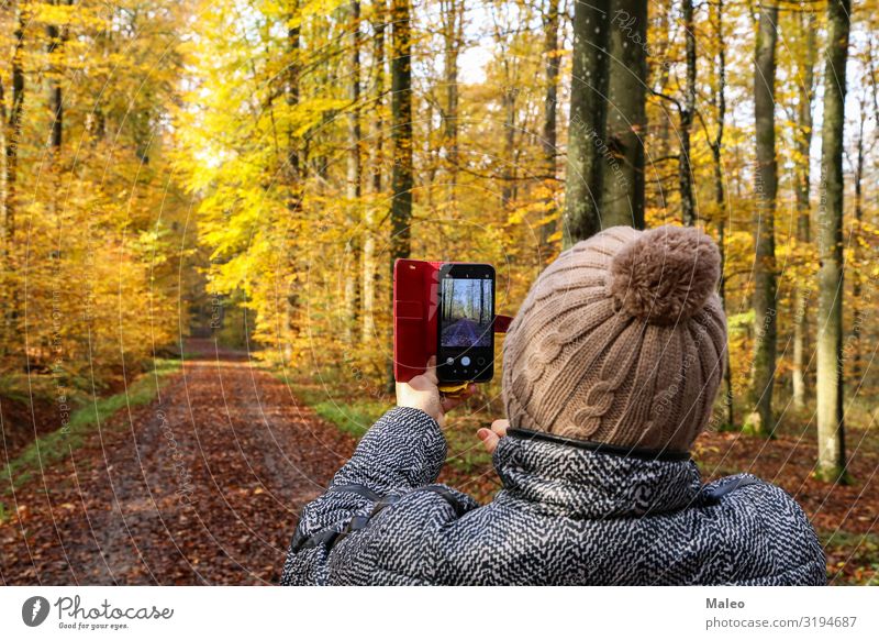 Eine Frau fotografiert einen wunderschönen herbstlichen Wald camera Fotografie Fotokamera Junge Frau Herbst Natur Mensch Technik & Technologie Telefon Glück