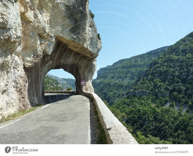 Durchbruch Sommer Schönes Wetter Wald Felsen Berge u. Gebirge Pyrenäen Verkehr Verkehrswege Straße Wege & Pfade Tunnel Verkehrszeichen Verkehrsschild Pass