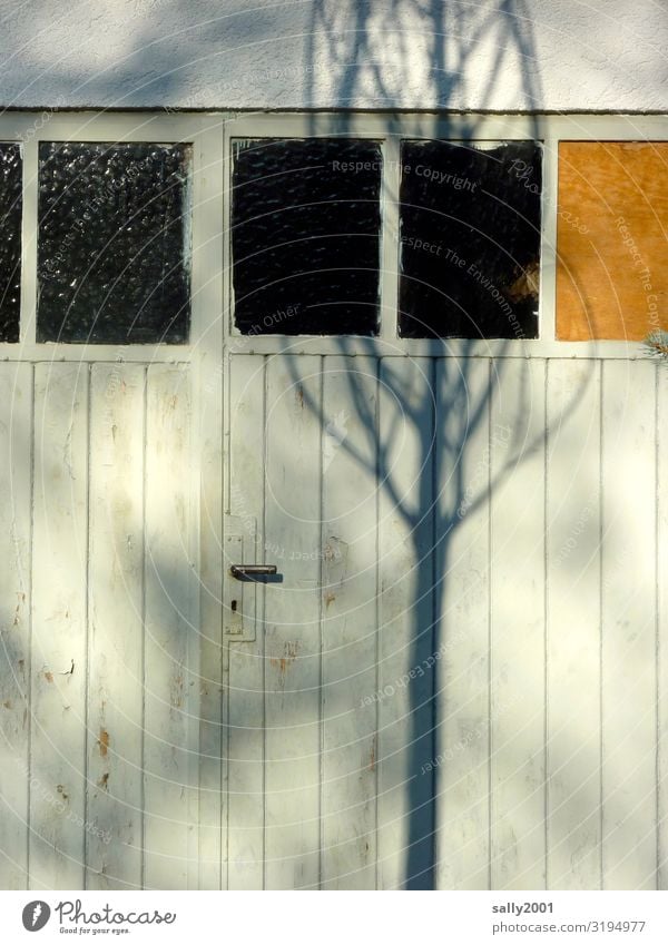 Eingang vom Baum beschattet... Tor Tür Schatten Schattenwurf Türklinke Holztor Holztür geschlossen alt Eingangstor Sonnenlicht Türgriff weiß Winter verlassen