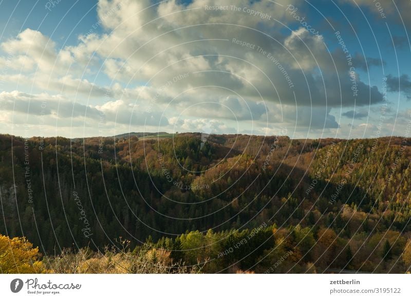 Elbsandsteingebirge Berge u. Gebirge Burg oder Schloss Dorf Erholung Felsen Ferien & Urlaub & Reisen Herbst hohnstein Hügel Kleinstadt Landschaft Laubwald