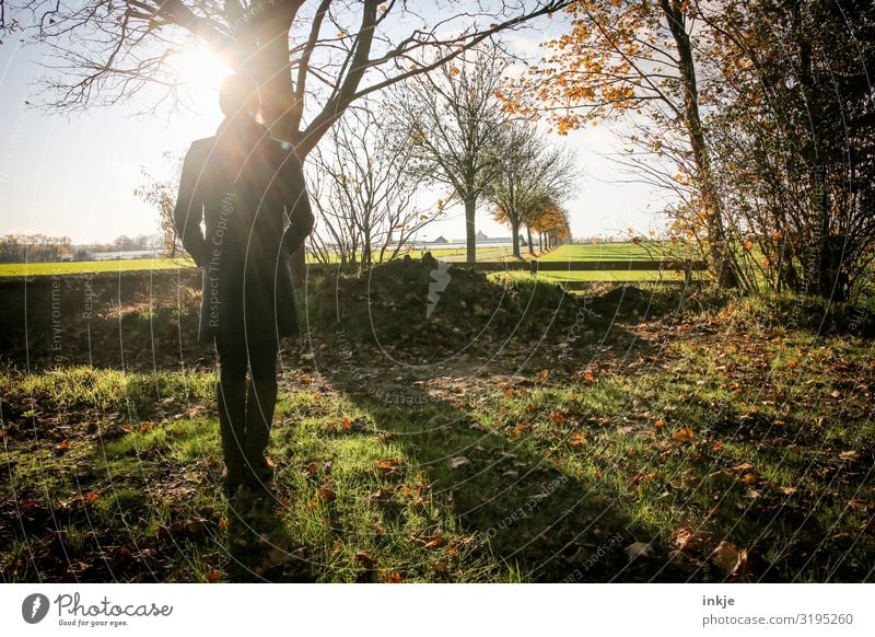 Herbstspaziergang Lifestyle Freizeit & Hobby Ausflug Herbstbeginn feminin Junge Frau Jugendliche Erwachsene Leben Körper 1 Mensch Natur Landschaft Sonne