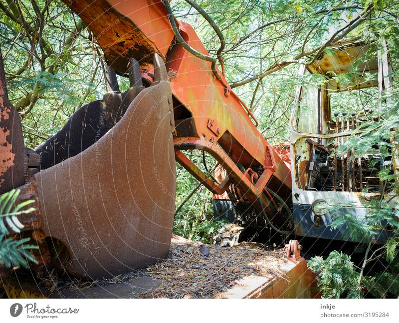 Buschbagger Arbeit & Erwerbstätigkeit Beruf Handwerker Baustelle Natur Sommer Baum Sträucher Wald Korsika Menschenleer Bagger Baggerschaufel alt authentisch