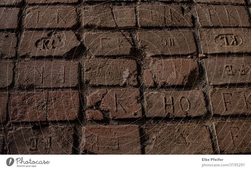 Steine Natur Straße Backstein Ornament alt historisch Erfolg Farbfoto Außenaufnahme Menschenleer Tag