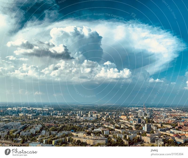 Erscheinung Tier Urelemente Himmel Wolken Gewitterwolken Sommer Klima Klimawandel Wetter Schönes Wetter Unwetter Breslau Polen Stadt Stadtzentrum Altstadt Haus