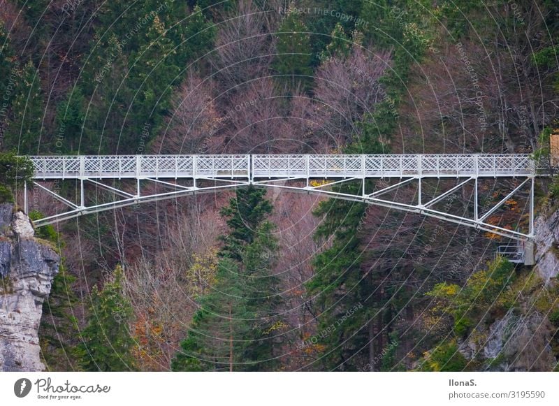 Marienbrücke in Schwangau Ferien & Urlaub & Reisen Tourismus Ausflug Sightseeing Städtereise Berge u. Gebirge wandern Kunstwerk Architektur Landschaft Pflanze