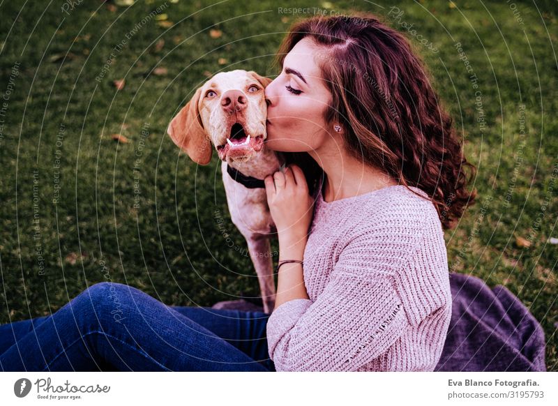 junge frau mit ihrem hund im park. sie küsst den hund. herbstzeit Porträt Frau Hund Park Jugendliche Außenaufnahme Liebe Haustier Besitzer Sonnenstrahlen schön