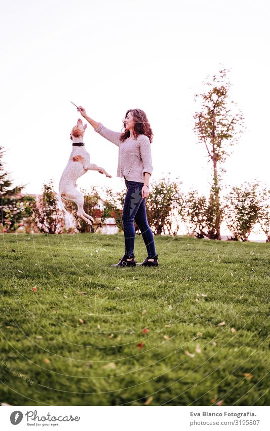 junge Frau spielt mit ihrem Hund im Park. Herbstsaison. Hundespringen Porträt Jugendliche Außenaufnahme Liebe Haustier Besitzer schön Glück Lächeln