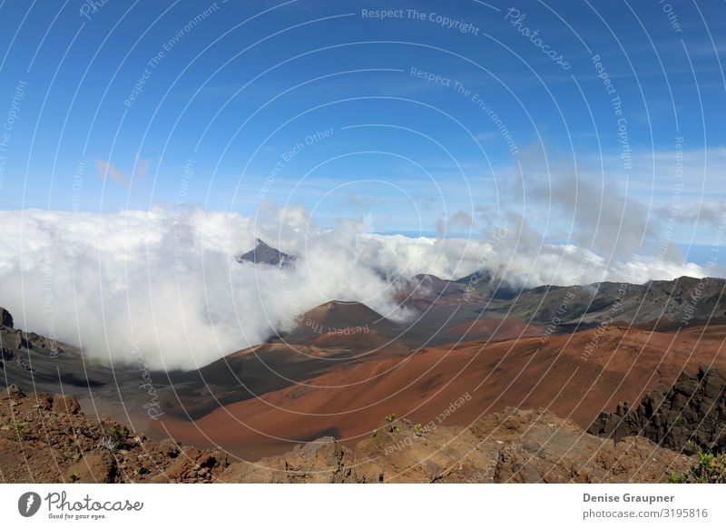 Haleakala National Park is a national park on the island of Maui Umwelt Natur Landschaft Himmel Sonne Klima Klimawandel Wetter Schönes Wetter fliegen