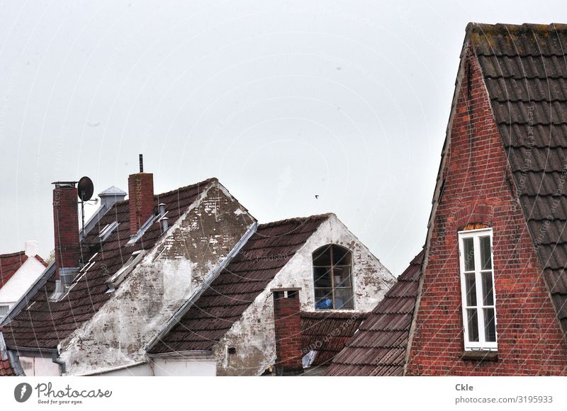 Friesland Handwerk Baustelle Friedrichstadt Schleswig-Holstein Kleinstadt Stadtzentrum Altstadt Haus Einfamilienhaus Mauer Wand Fassade Fenster Dach Schornstein