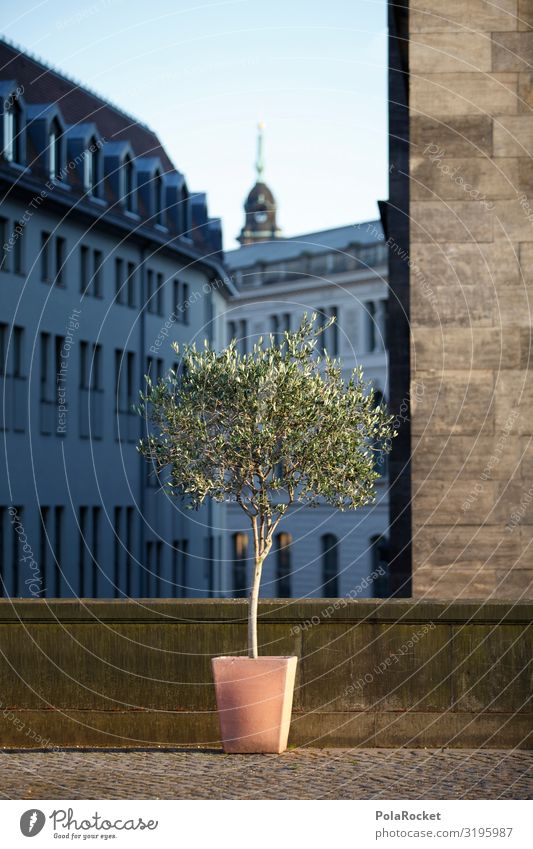 #A0# Da gewinnst du keinen Blumentopf! Kunst ästhetisch Dresden Altstadt dezent Nebensaison Gasse Pflanze Brühlsche Terrasse Farbfoto Gedeckte Farben