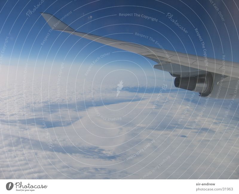 Über den Wolken... Flugzeug Triebwerke weiß Himmel Aussicht blau Fensterblick Luftaufnahme Atmosphäre Tragfläche Horizont Erde Wolkendecke Wolkenfeld