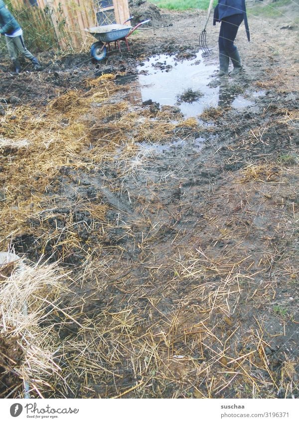 mist und gülle (2) Misthaufen dreckig Übelriechend Kot Gülle Jauche Urin Pull Bauernhof Landwirt Landwirtschaft Forke Gummistiefel Landleben Feldarbeit Geruch