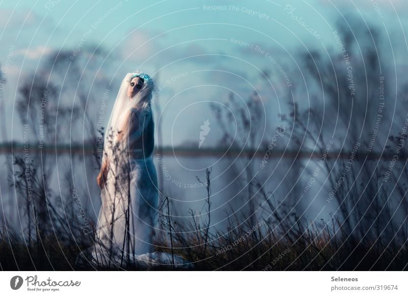 wie eine scheue Braut Meer Winter Mensch feminin Mann Erwachsene 1 Umwelt Natur Landschaft Himmel Wolken Herbst Gras Sträucher Küste Seeufer Nordsee Traurigkeit