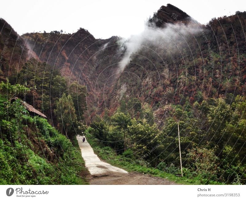 Seruni Point (near Mt. Bromo) Umwelt Natur Urelemente Erde Wald Felsen Berge u. Gebirge Reinlichkeit Sauberkeit Nebel Farbfoto Außenaufnahme Menschenleer