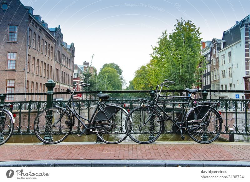 Fahrradpaare über den Kanal von Amsterdam Lifestyle Ferien & Urlaub & Reisen Tourismus Haus Paar Kultur Baum Fluss Stadt Platz Brücke Gebäude Architektur