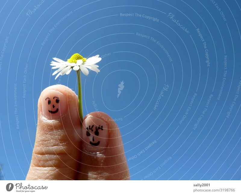 Fingerspitzengefühle... Mensch Paar Partner Gesicht 2 Wolkenloser Himmel Frühling Schönes Wetter Blume Gänseblümchen berühren Blühend festhalten genießen