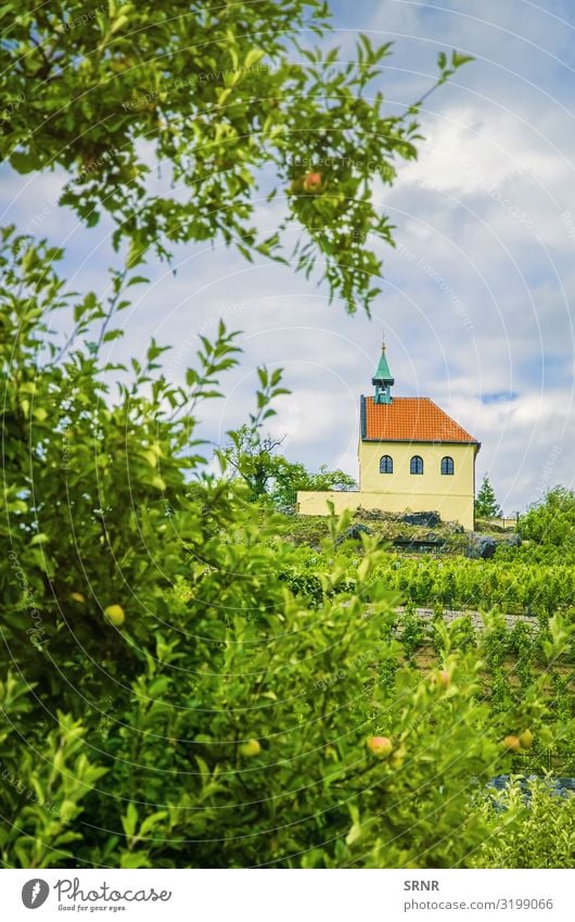 Kapelle Apfel Ferien & Urlaub & Reisen Tourismus Sightseeing Haus Garten Umwelt Natur Landschaft Pflanze Baum Blatt Dorf Kirche Platz Gebäude Architektur alt