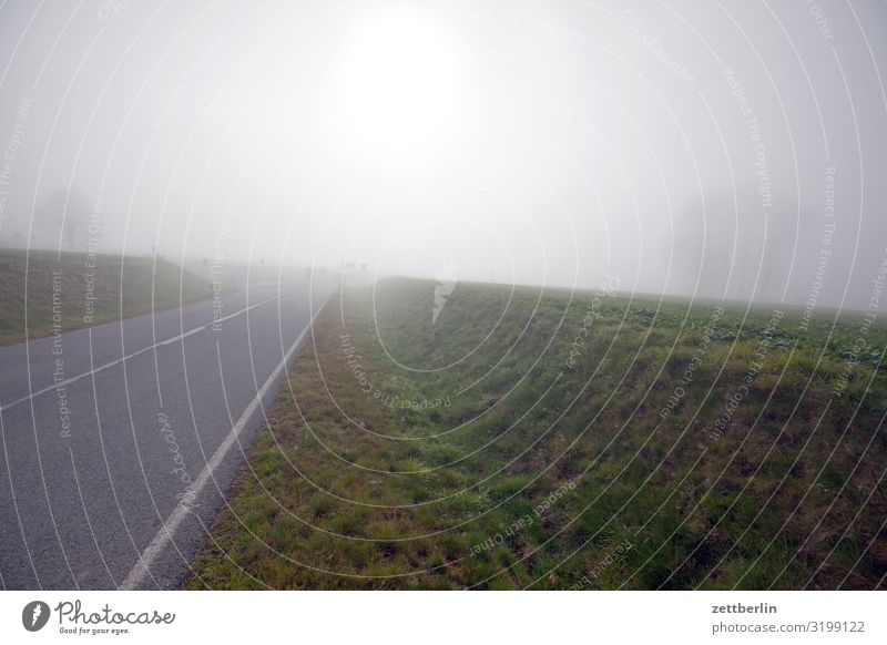 Nebel am Morgen Dunst Herbst Herbstfärbung Herbstprogramm Landschaft Menschenleer Perspektive Ferne Sonne Textfreiraum Wetter Winter Wintermorgen Straße