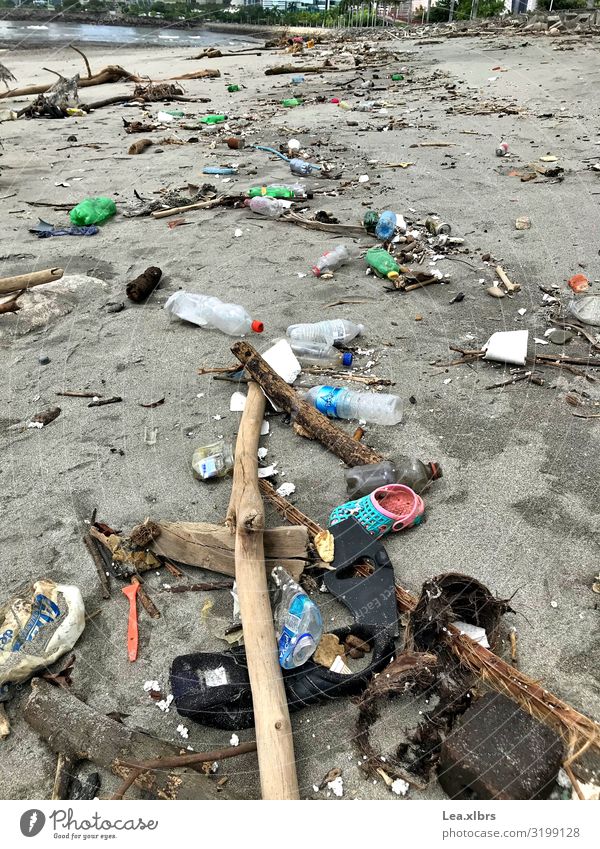 Hafen von Panama City bei Ebbe Flasche Ferien & Urlaub & Reisen Sightseeing Sommer Umwelt Sand Wasser Klima Klimawandel Bucht Meer Süd Pazifik Mittelamerika