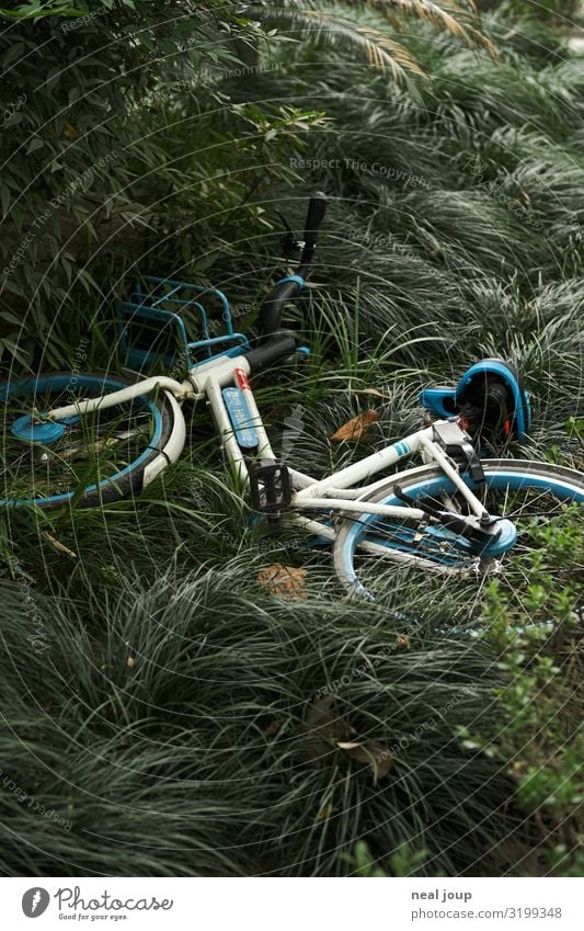 Trashed mobility Tourismus Städtereise Fahrradtour Fahrradfahren Sträucher Shanghai Leihfahrrad trendy kaputt nachhaltig trashig Stadt grün ignorant