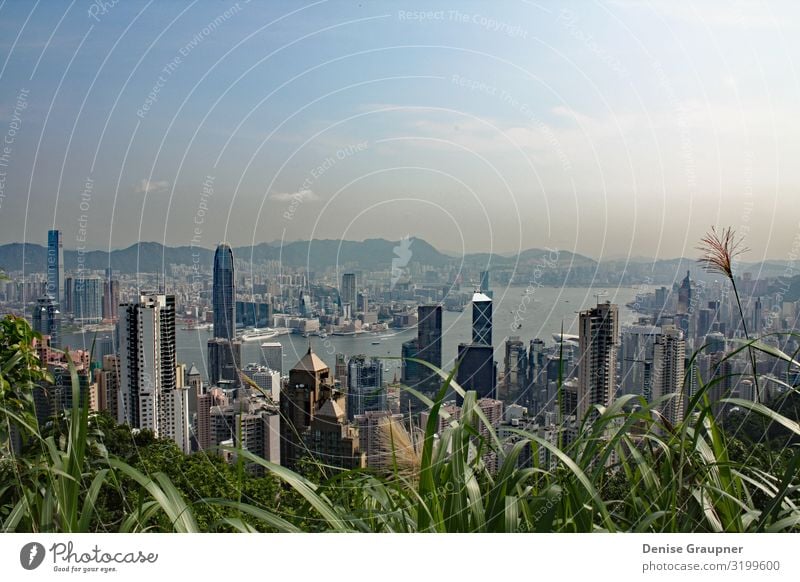 View of Hong Kong from Victoria Peak kaufen Ferien & Urlaub & Reisen Tourismus Sightseeing Büro Business Stadtzentrum Skyline Hochhaus Tower (Luftfahrt)